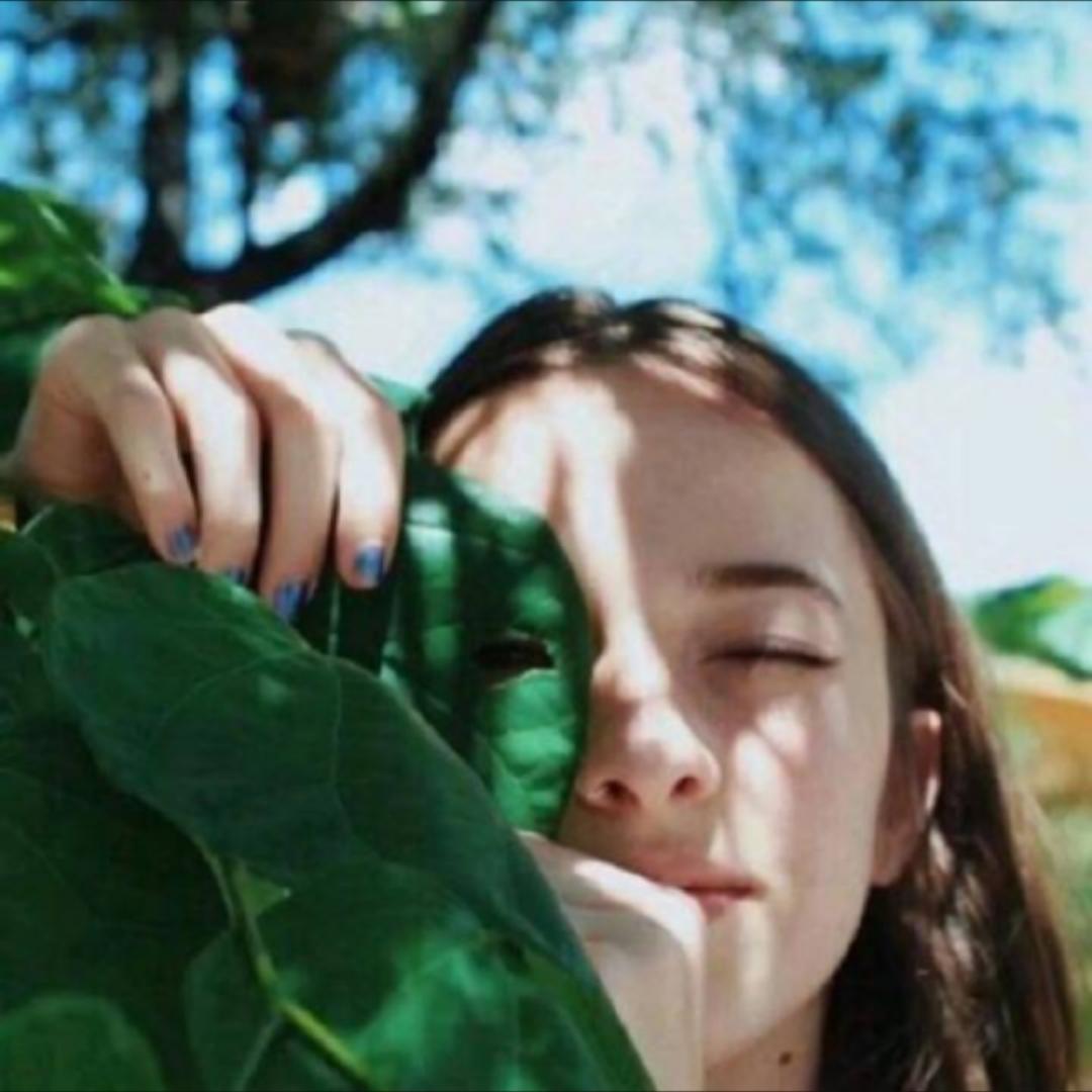 哎向日葵开过旧夏天