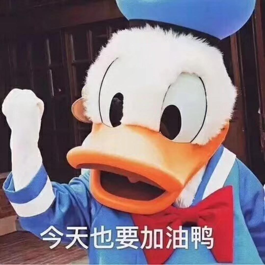 西子西西子
