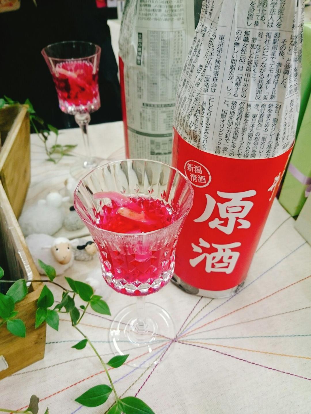 火龙果皮酒