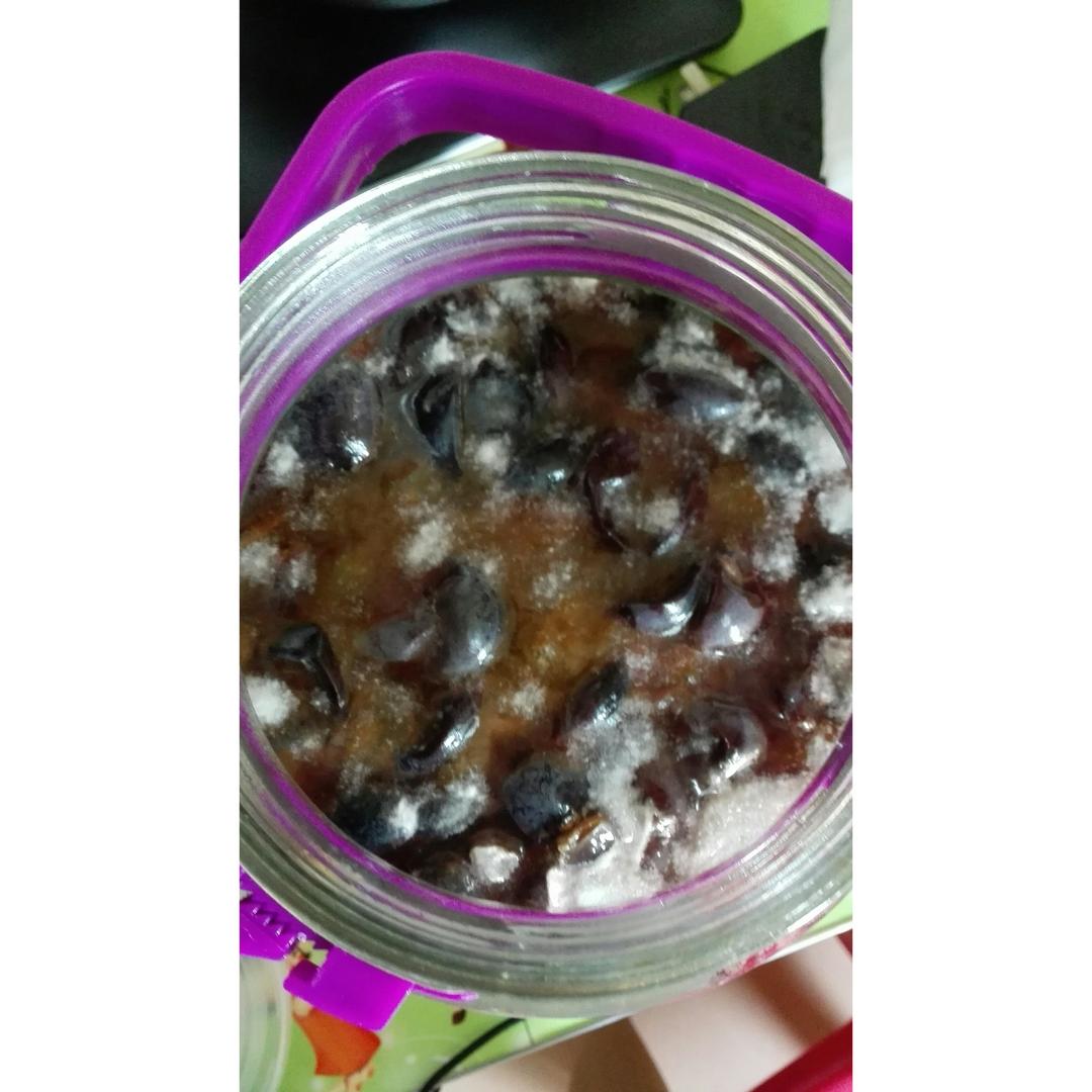 红酒-葡萄酒快速酿制