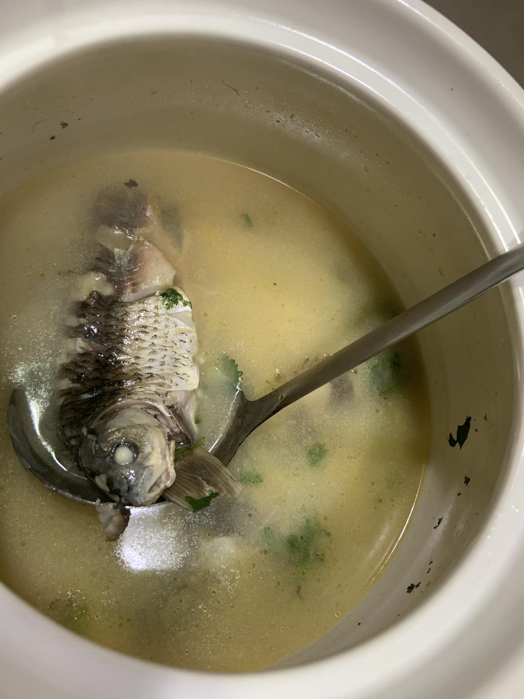鲤鱼汤