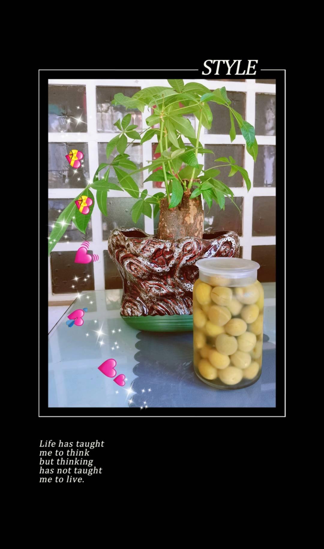 【自制脆梅】梅酒的副产品