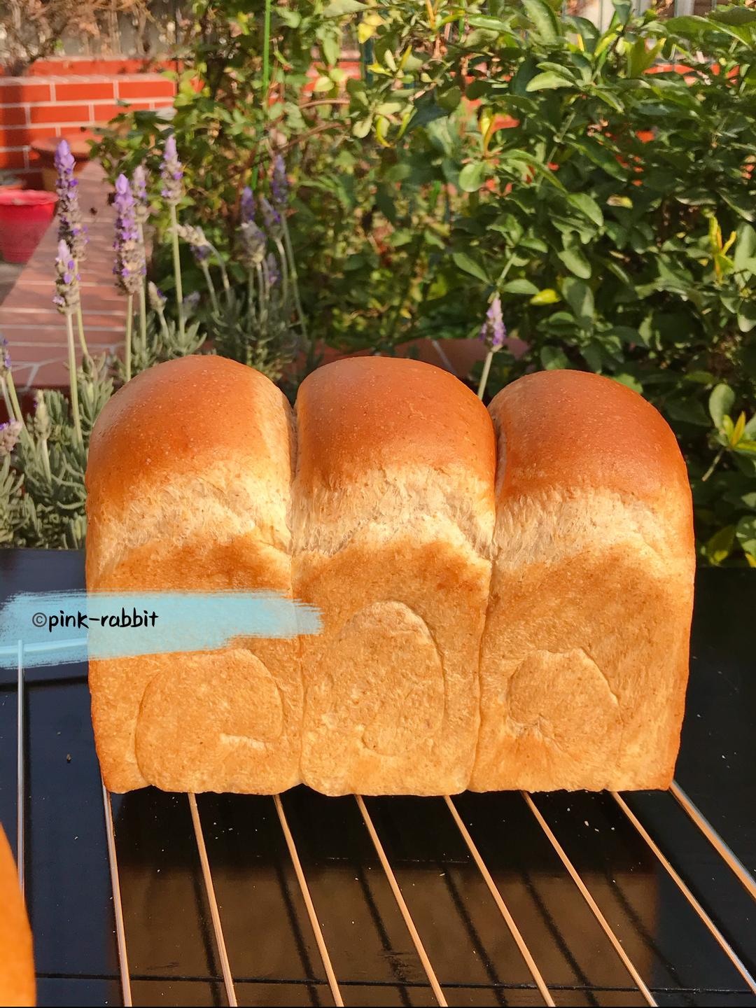 风炉版全麦吐司（附高比克打面笔记）by pink-rabbit