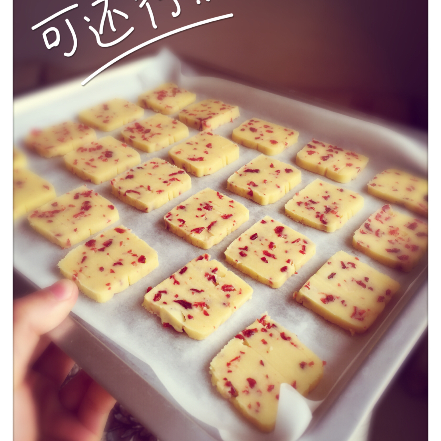 《Tinrry+》蔓越莓曲奇（超简单曲奇配方）