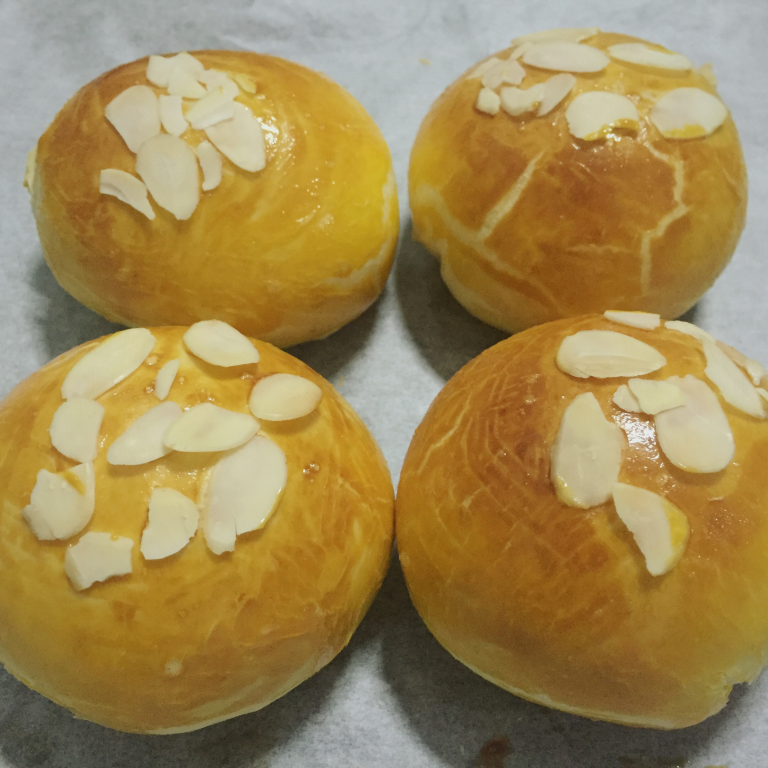 蛋白蜂蜜肉松面包（中种）