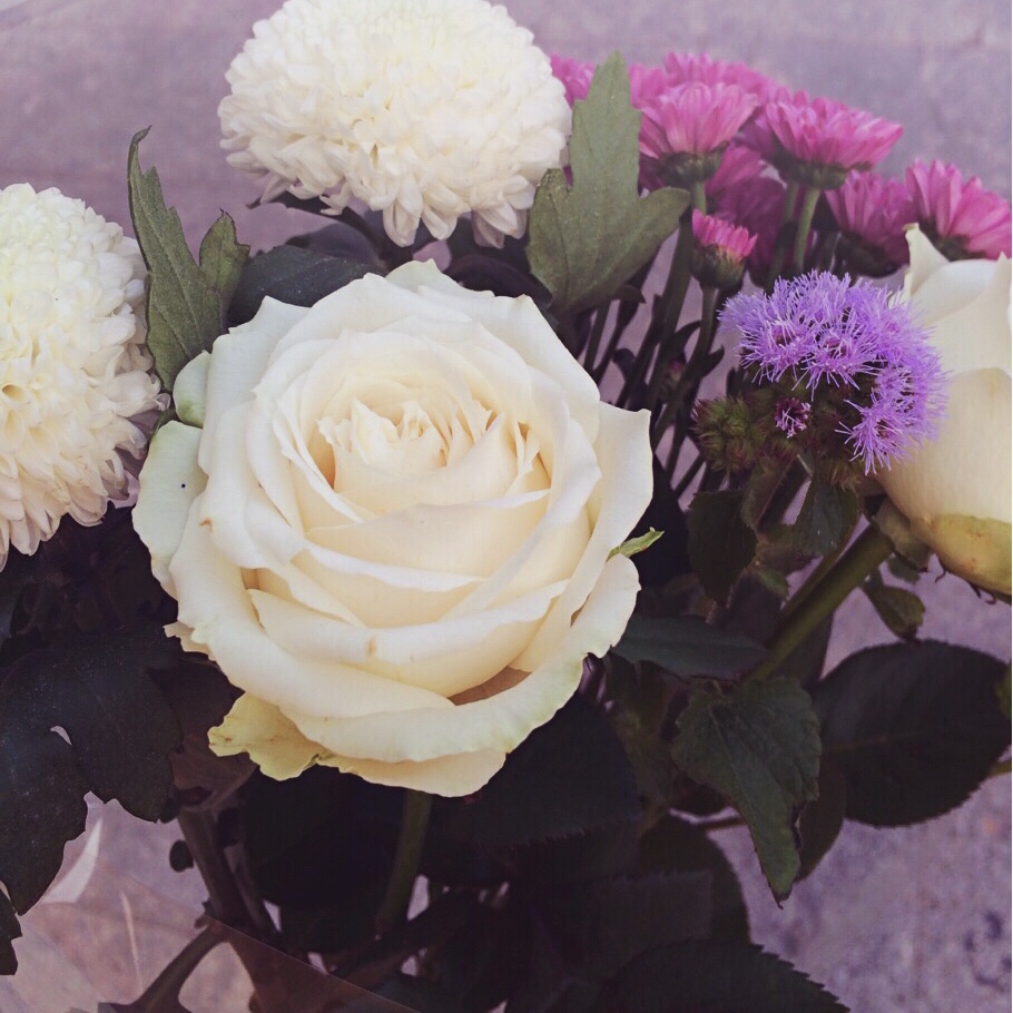 也许还有另一种生活