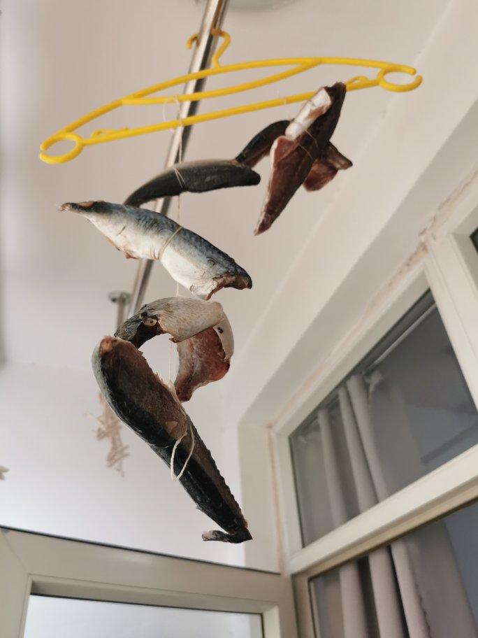 白熊熊 秘制 江南醉鱼