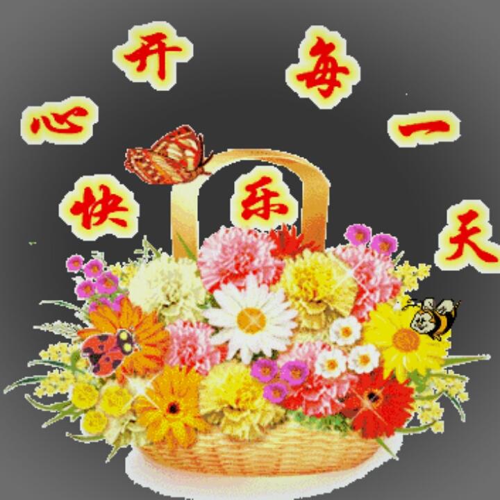 英英8866