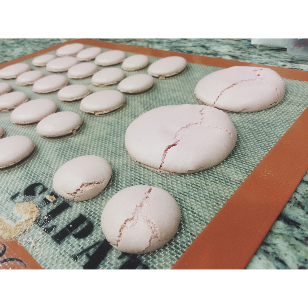 日乐购的马卡龙