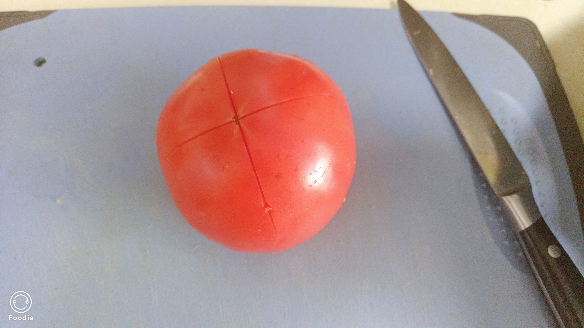 一人食番茄千页豆腐巴沙鱼的做法 步骤9