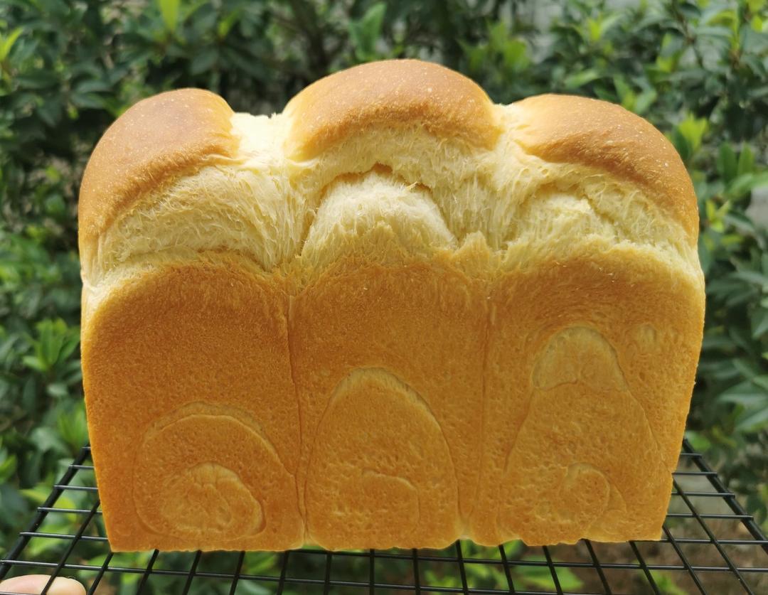 淡奶油吐司--冷藏中种法