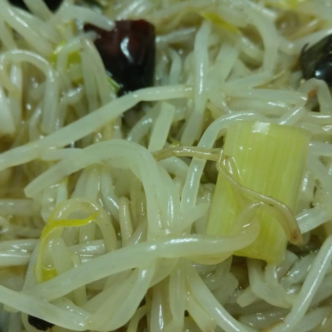 炝炒绿豆芽