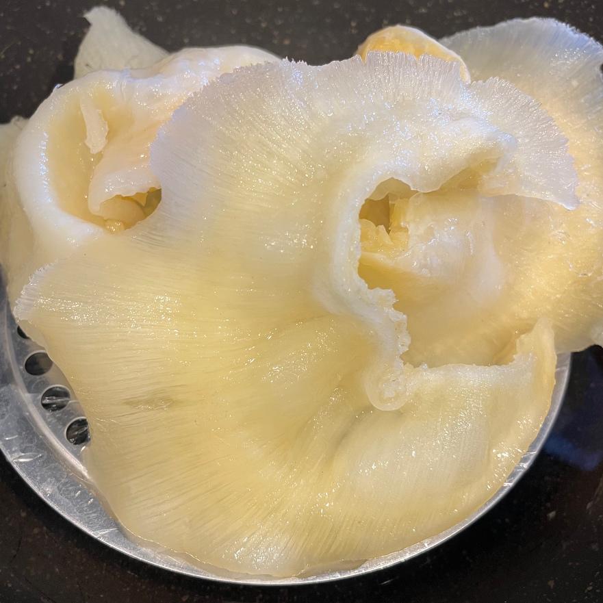 鱼翅的泡发的做法