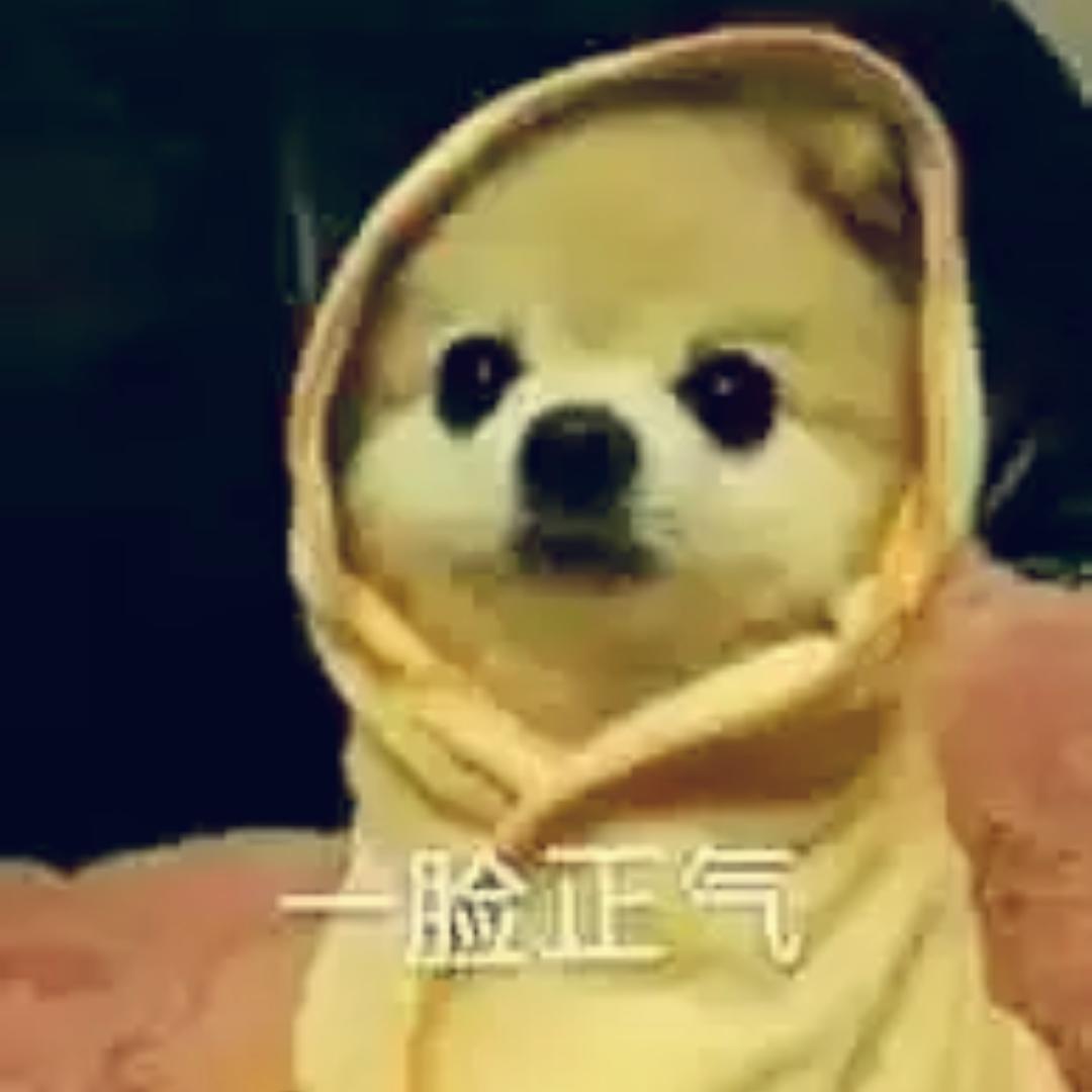 美芽一号