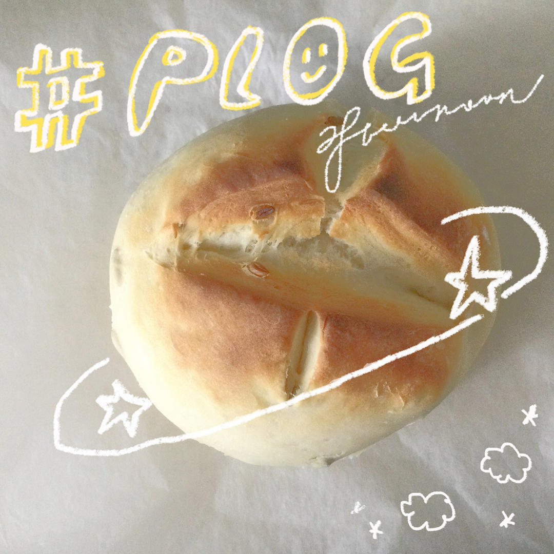(动图详解)入门版 酸面包 Sourdough bread