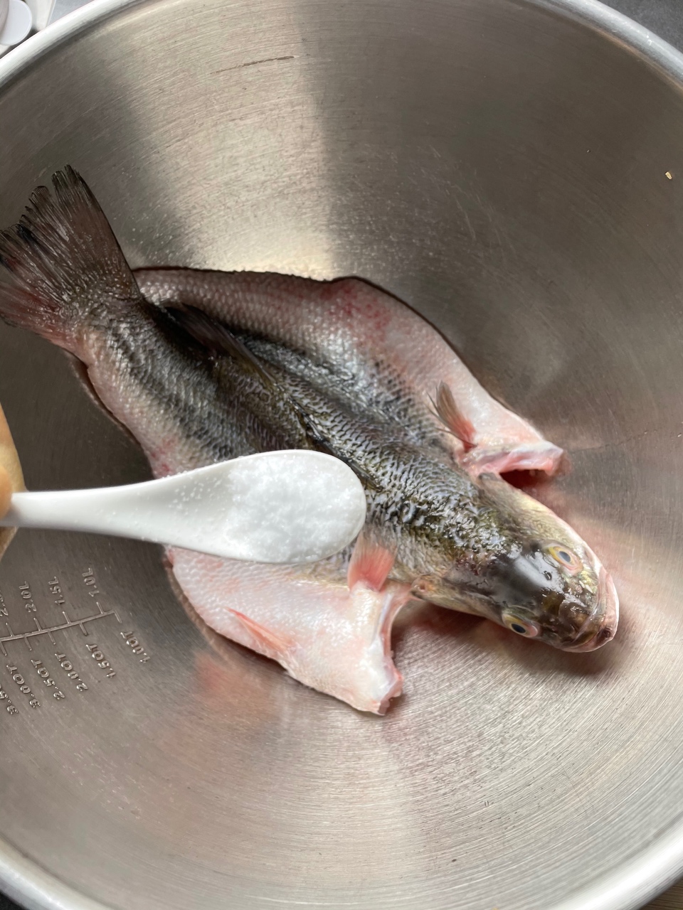 10分钟做 清蒸鲈鱼 （附切鱼图解）的做法 步骤3