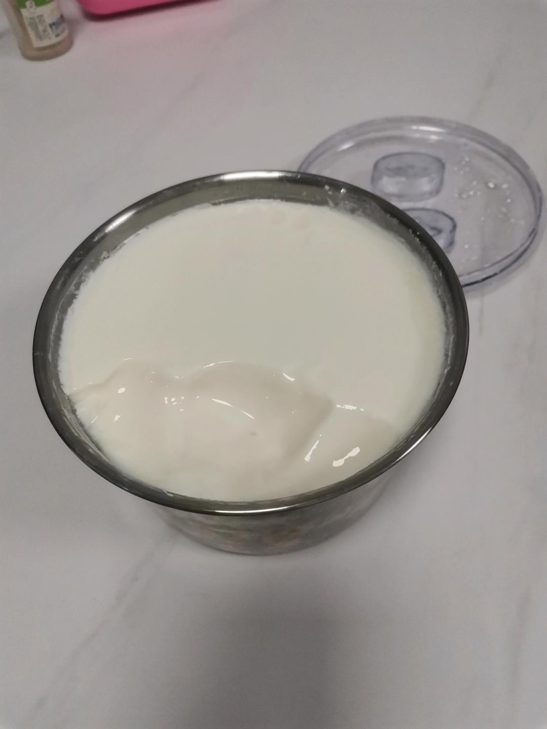 自制老酸奶(步骤全)