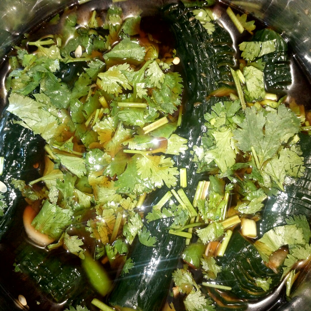高颜值蓑衣黄瓜