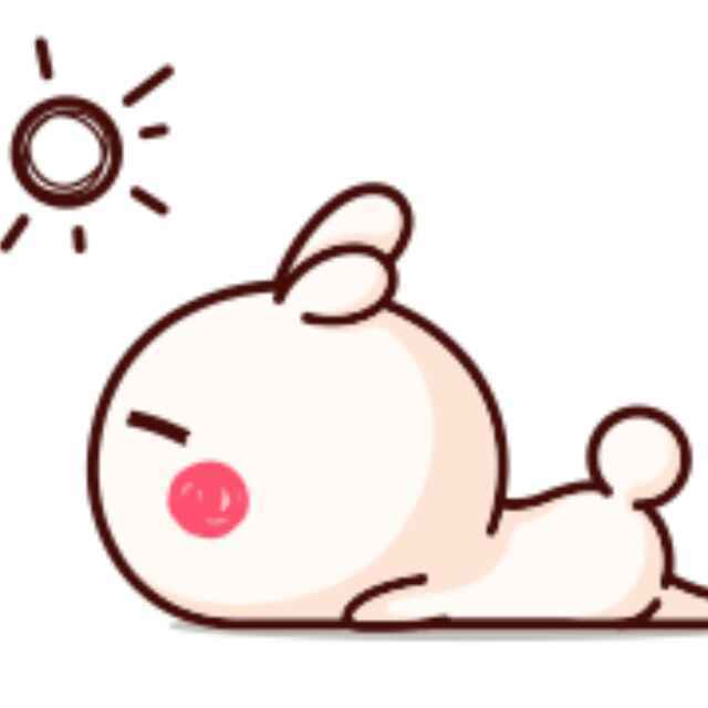 Y小七