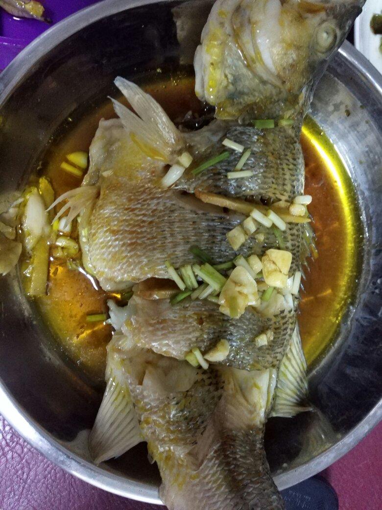 超入味清蒸鱼～清蒸鲈鱼桂花鱼（家常独创）