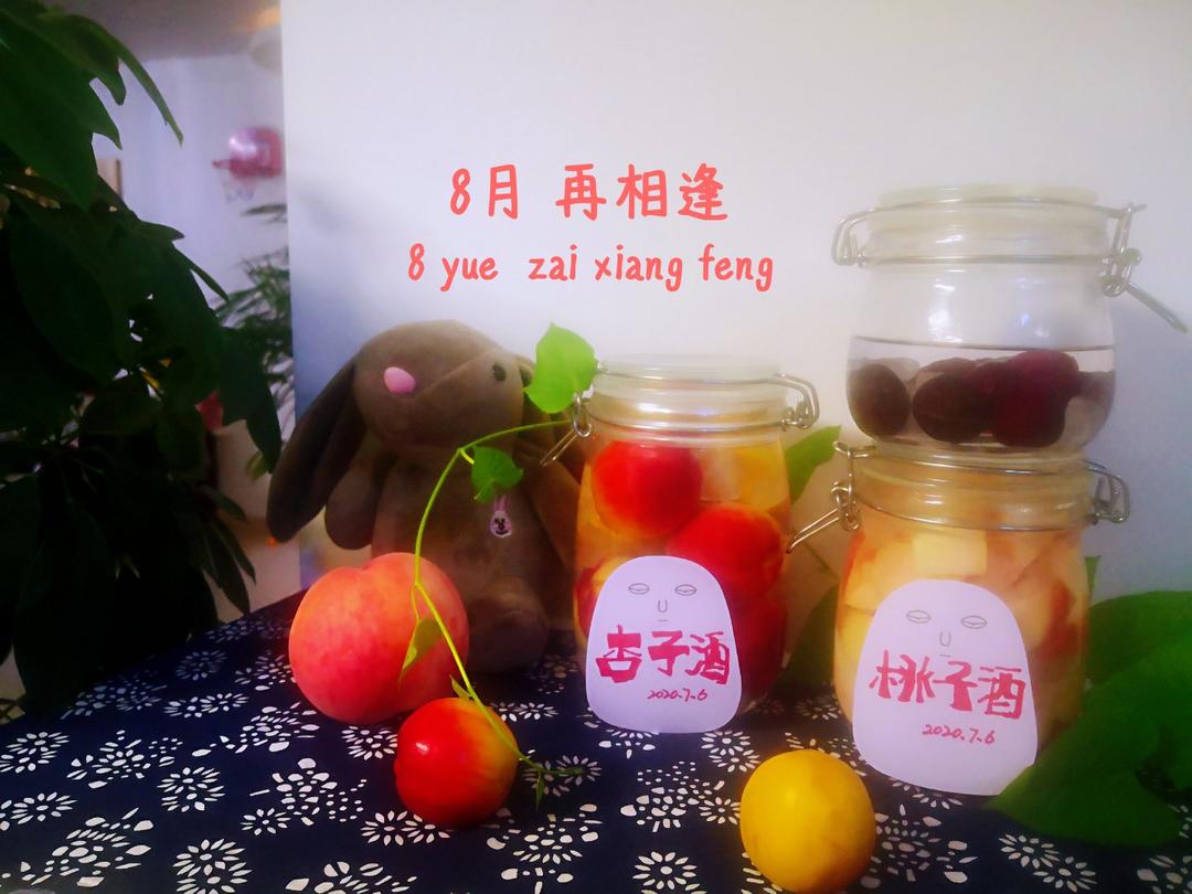 杏子酒，夏天的情思