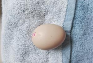 超简单的日式溏心蛋温泉蛋|针孔煮法的做法 步骤1