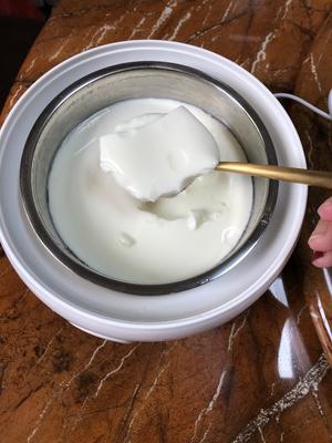 自制浓稠酸奶（奶粉版）的做法 步骤6