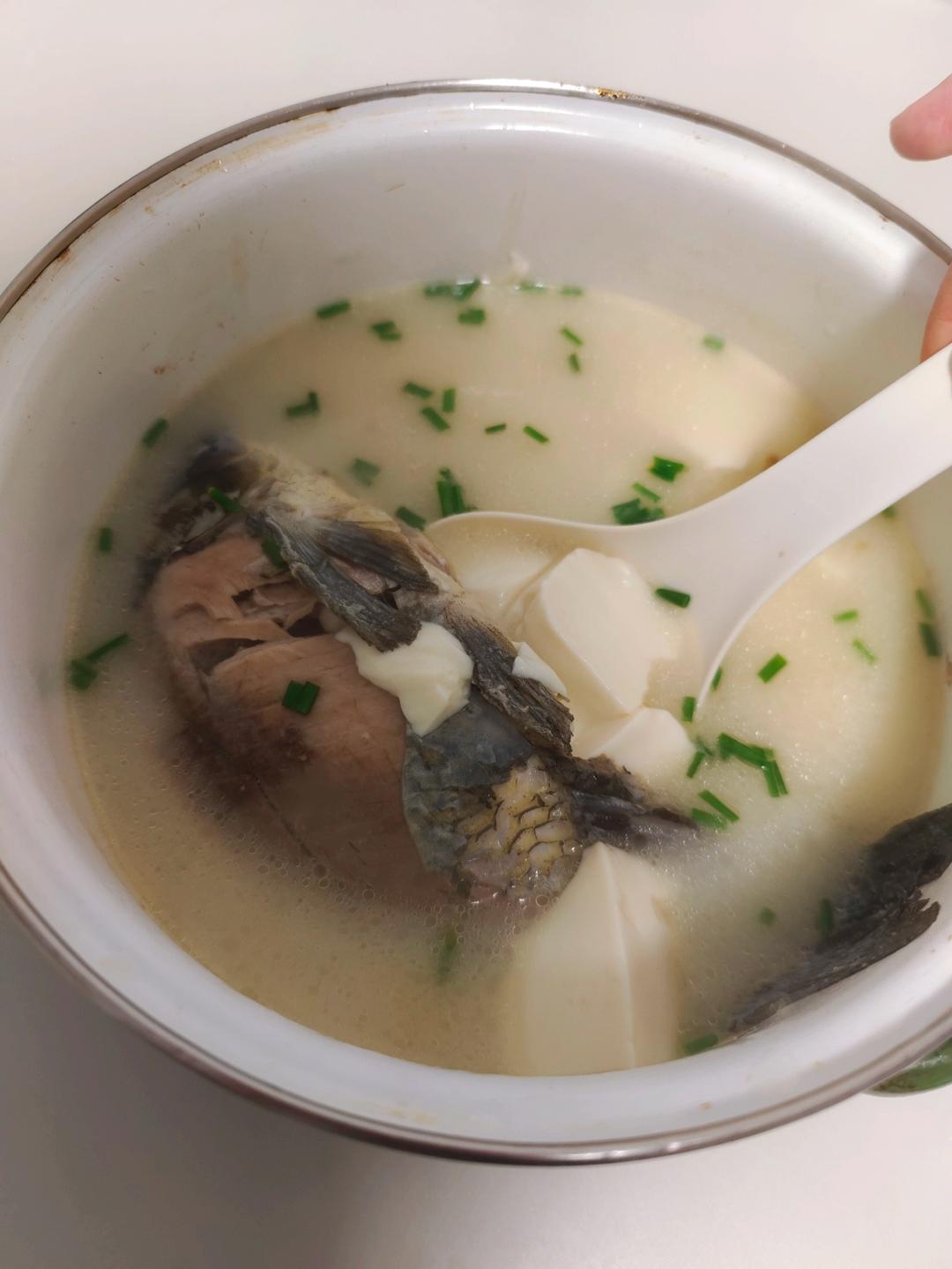 奶白鲫鱼豆腐汤|一条鱼最后的温柔
