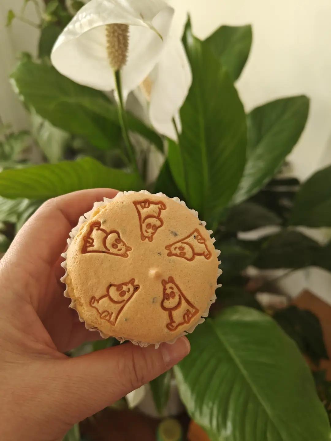 两种口味金枕蛋糕 | 不塌陷 无泡打粉