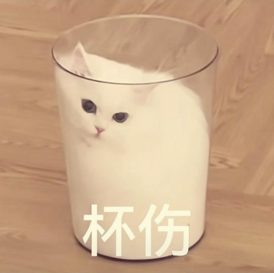 多吃不胖健康选手