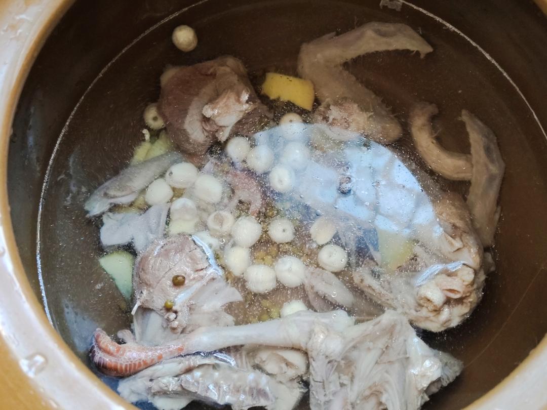 绿豆莲子鸽子汤