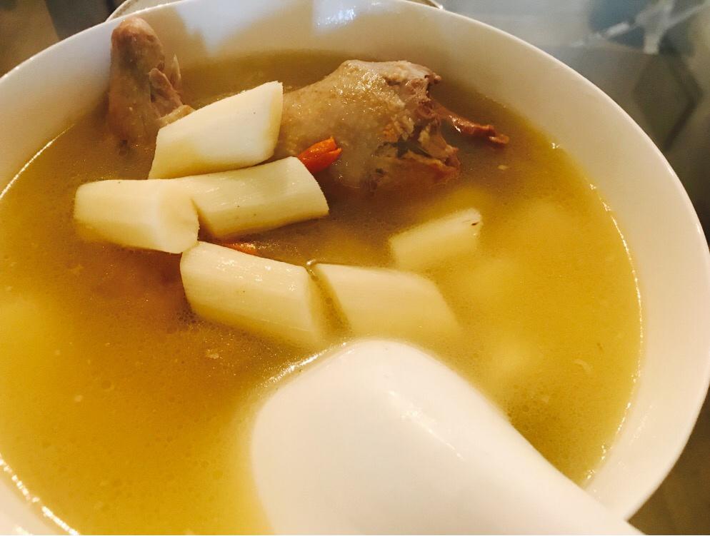 匣中女做的炖鸽子汤