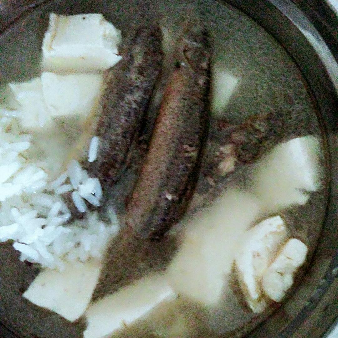 泥鳅豆腐汤