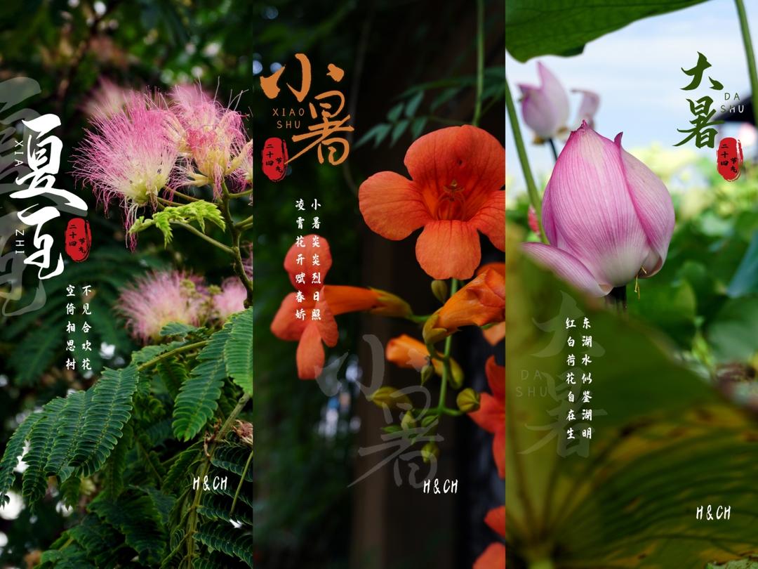 二十四节气的图