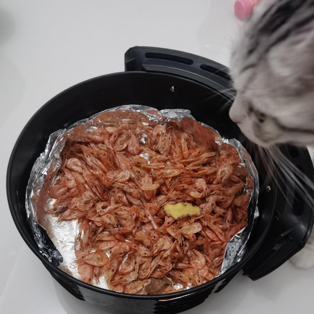 没有油的酥脆小虾干（空气炸锅版）