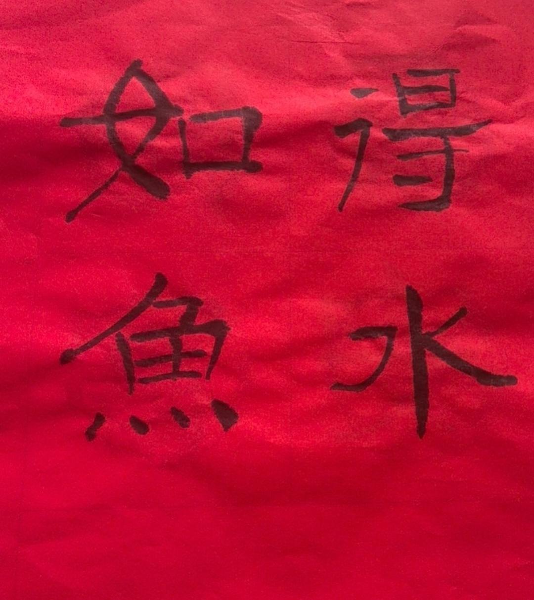 如鱼得水777
