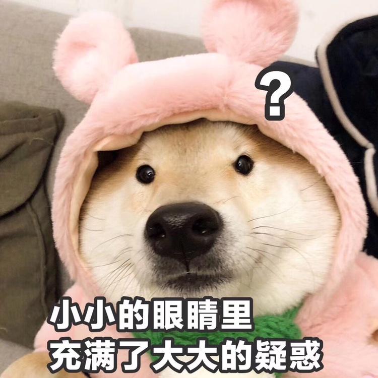 C_Shou