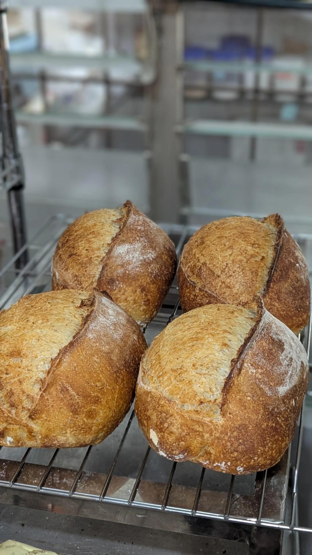 天然鲁邦酸种面包•详细整形步骤〔硬欧包〕的做法