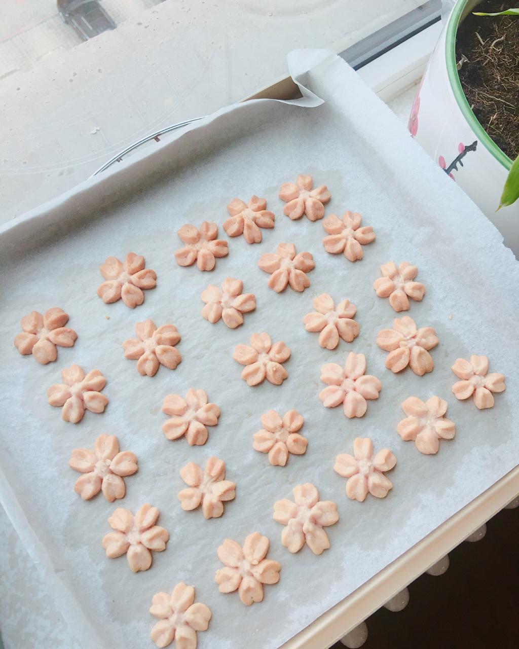 少女心粉樱花曲奇₍•͈˽•͈₎