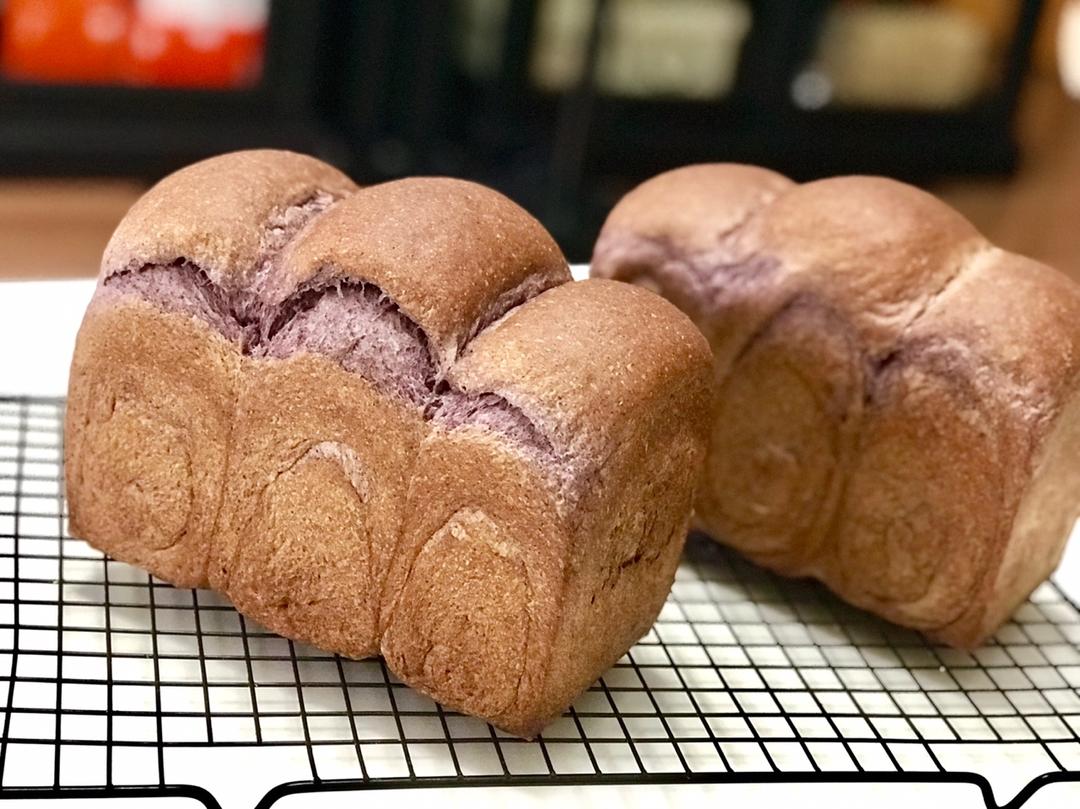 吐司不长个原因分析