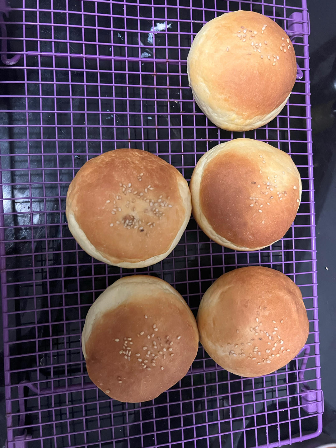 汉堡胚 poolish（波兰种）