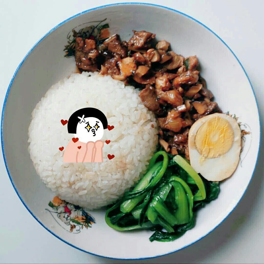 好吃到停不下来的卤肉饭