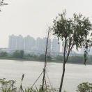 尝试学习中