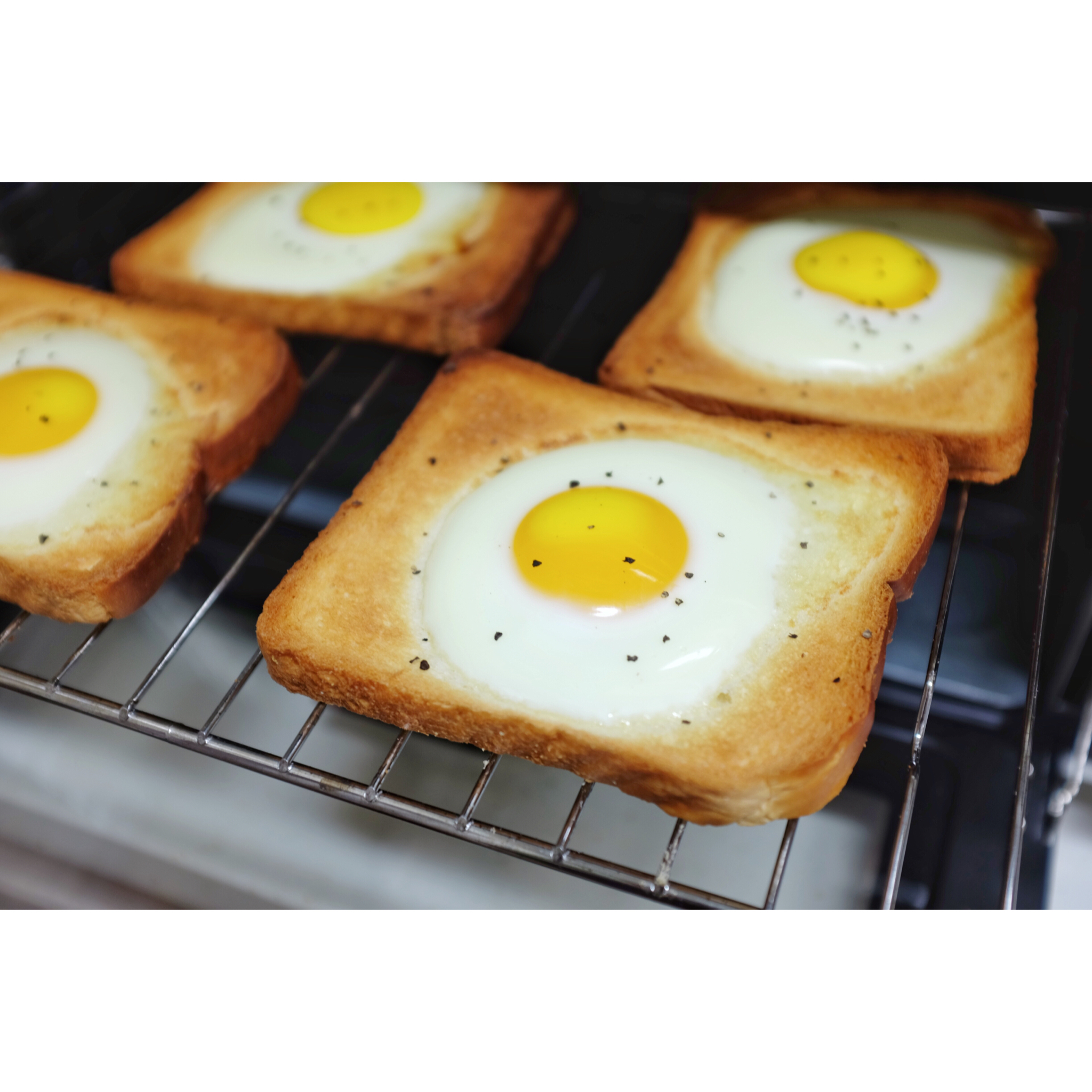 看见什么吃什么～(⁎⁍̴̀◡⁍̴́⁎)♡