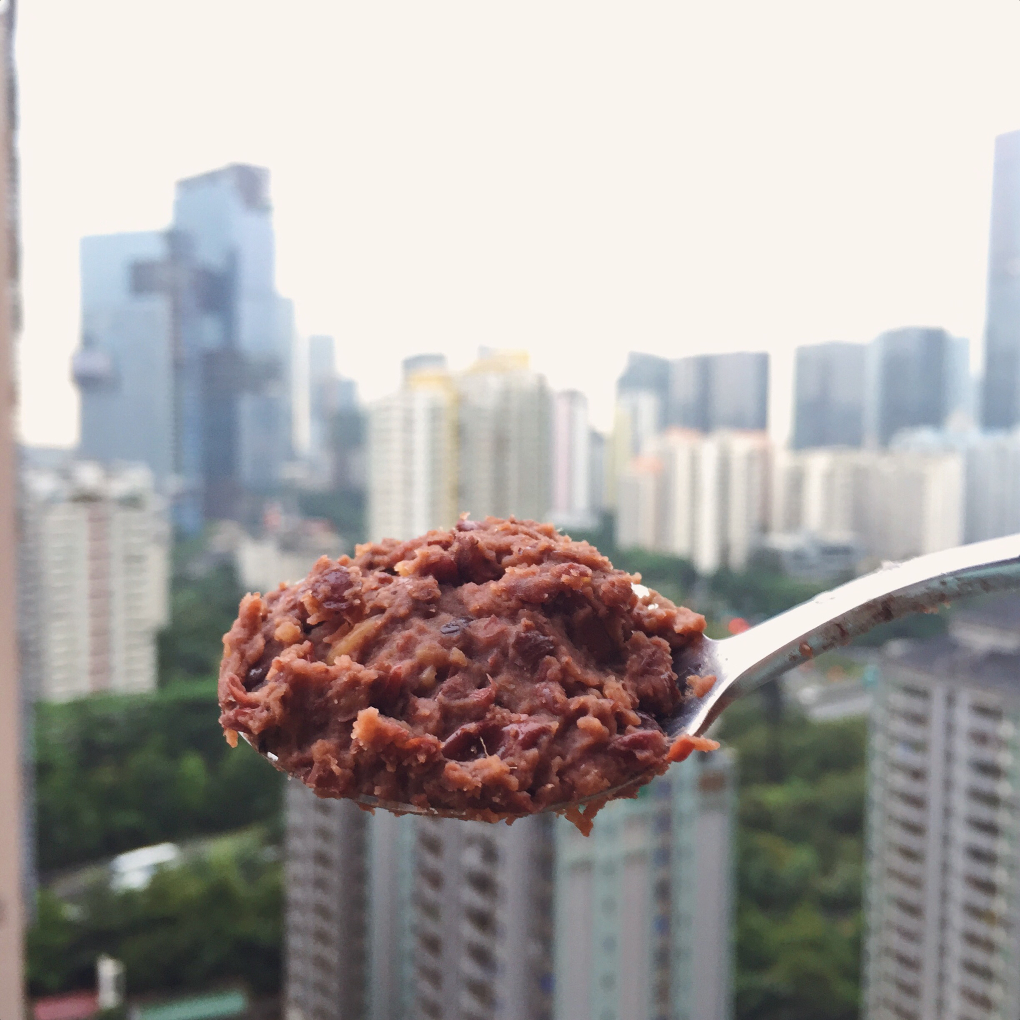 自制粒粒红豆馅儿