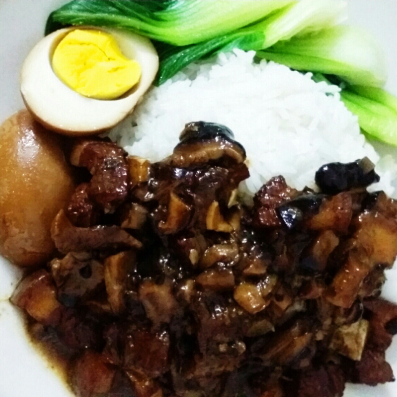 洋葱酥卤肉饭