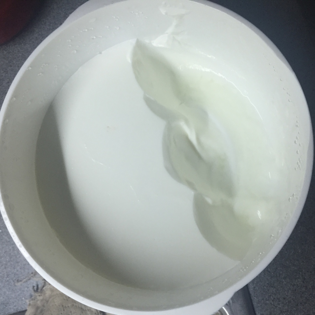 小熊酸奶机自制酸奶