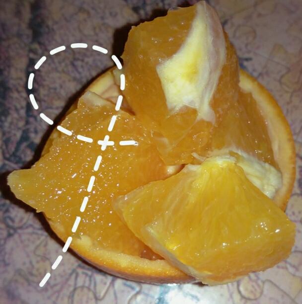 橙子的酷炫吃法的做法