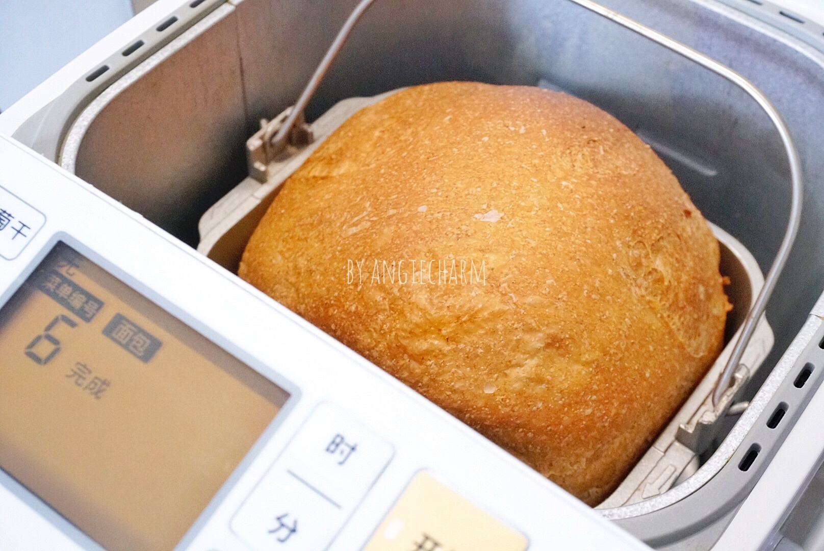 100%全麦面包（面包机）的做法 步骤2