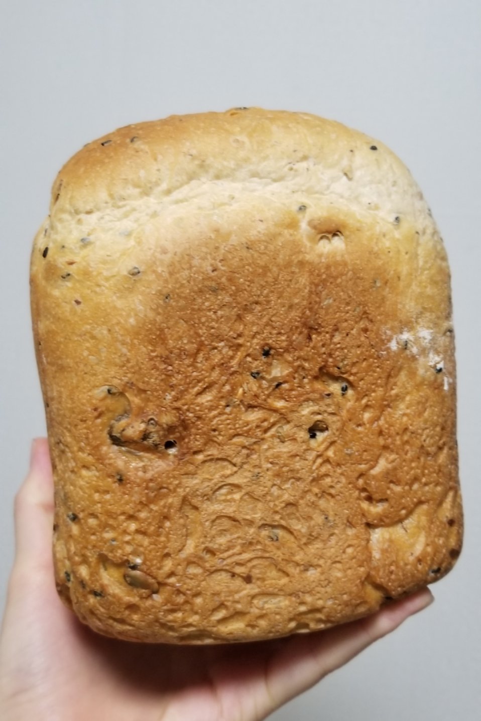 面包机全麦燕麦黑芝麻面包（无糖）